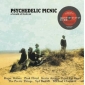 PSYCHEDELIC PICNIC ( Various LP)