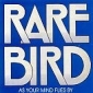 RARE BIRD