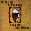 THIRTEENTH (13th) FLOOR ELEVATORS