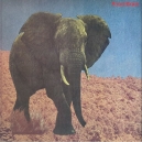 FOOD BRAIN ( LP ) Japonia