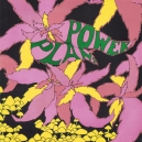 GOLDEN DAWN ,THE (LP) US 