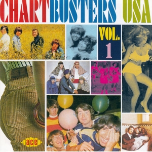 CHARTBUSTER USA   ( Various CD)