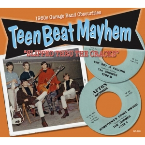 TEEN BEAT MAYHEEM ( Various CD)