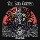2nd  COMING , THE
