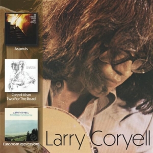 LARRY CORYELL