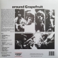 GRAPEFRUIT ( LP ) UK
