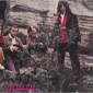 STEAMHAMMER