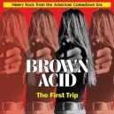 BROWN ACID ( Various CD)