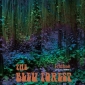 BLEU FOREST , THE
