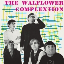 WALFLOWER COMPLEXTION, THE (LP) US