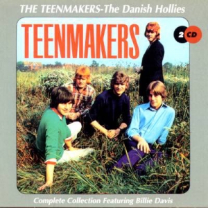 TEENMAKERS , THE