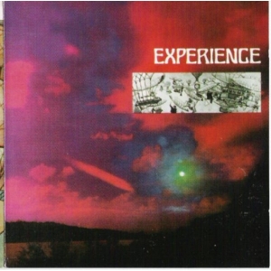 EXPERIENCE