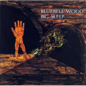 BIG SLEEP ( LP ) UK