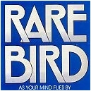 RARE BIRD