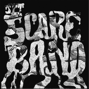 JPT SCARE BAND ( LP ) US