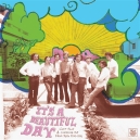 IT'S A BEAUTIFUL DAY ( LP )  Various 