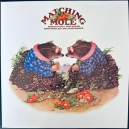 MATCHING MOLE (LP) UK