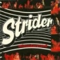 STRIDER