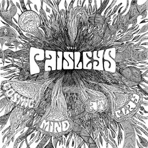 PAISLEYS ( LP ) US