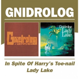 GNIDROLOG