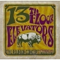THIRTEENTH  (13th)  FLOOR ELEVATORS
