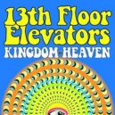 THIRTEENTH  (13th)  FLOOR ELEVATORS