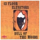 THIRTEENTH ( 13th)  FLOOR  ELEVATORS