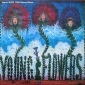 YOUNG FLOWERS(LP)